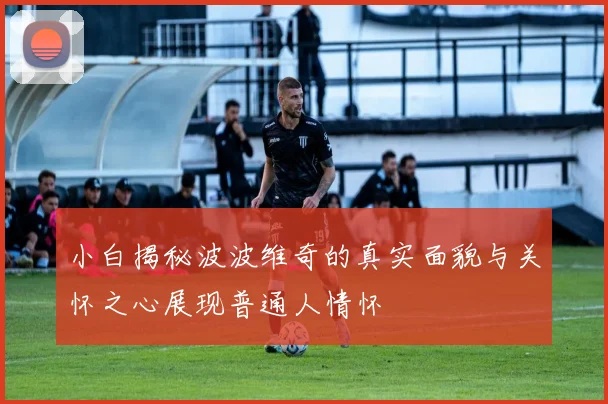 小白揭秘波波维奇的真实面貌与关怀之心展现普通人情怀