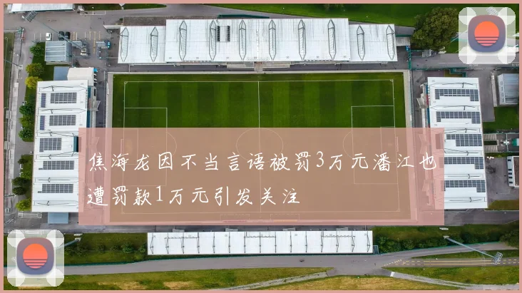 焦海龙因不当言语被罚3万元潘江也遭罚款1万元引发关注
