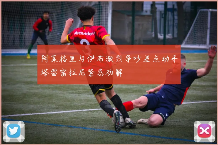 阿莱格里与伊布激烈争吵差点动手塔雷富拉尼紧急劝解